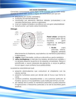 Las Algas Cianofitas