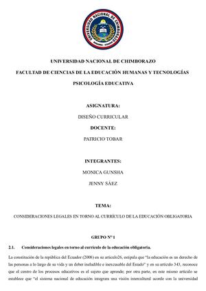 Diseño Curricular Informe
