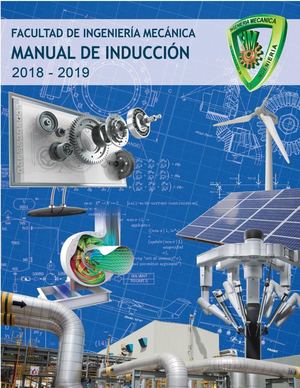 Curso De Induccion FIM