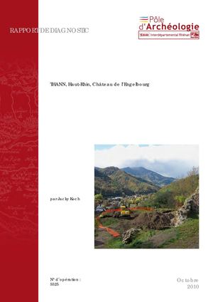 THANN, Château de l'Engelbourg - 2010 (d)