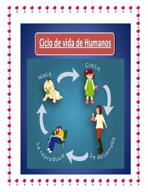 Ciclo Vital