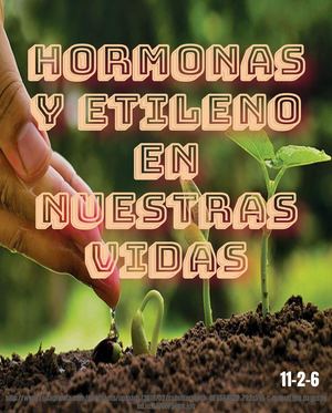 11 2 6 Hormonas Y Etileno. Calameo