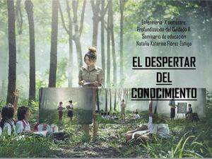 El despertar del conocimiento