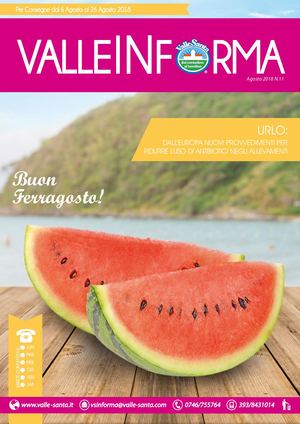 Valle Informa N°11 Agosto 2018