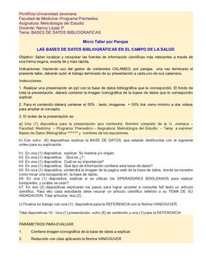 Taller X Parejas Bases Datosbibliograficas