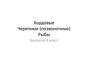 Био 8 Урок 18. Хордовые Черепные (позвоночные) Рыбы