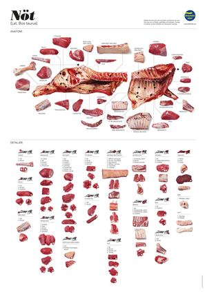 Nötkött Olika Delar
