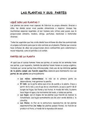para que sirve el carbon vegetal en las plantas