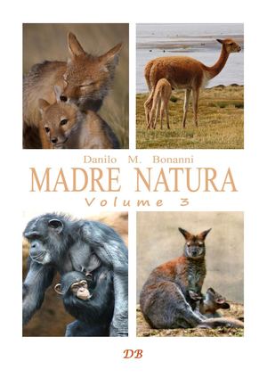 Madre Natura - Volume 3