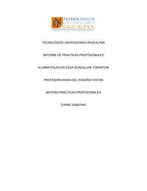 PROTOCOLO DE PRACTICAS PROFESIONALES