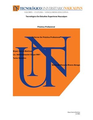 Practica Profesional