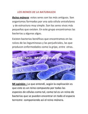 Los Reinos De La Naturaleza