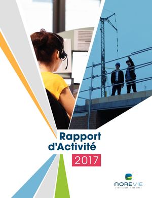 Rapport D'activité 2017 Norevie