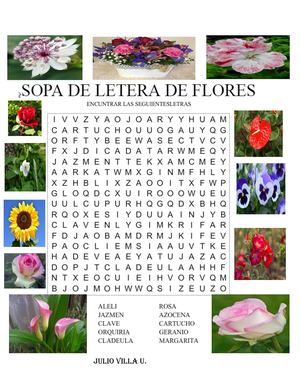 Sopa De Letras De J V