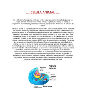 Biologia