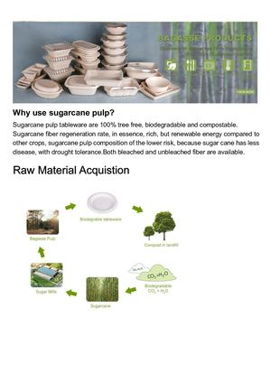 Bagasse Disposables