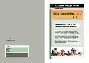 PET SHOP CATALOGO
