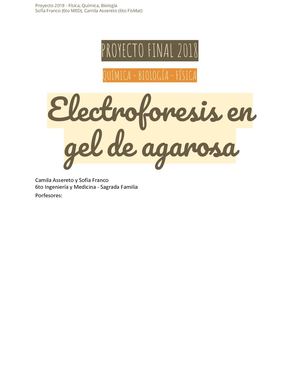 Electroforesis en gel de agarosa