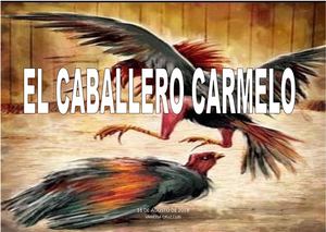 Trabajando Con Solid Cruz Curi