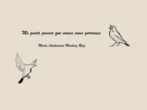 Me Gusta Pensar Que Somos Como Gorriones Correcta