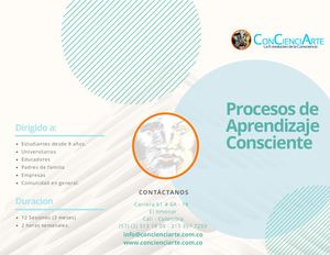 Aprendizaje Consciente