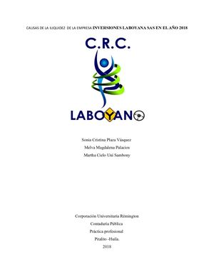 Practica Profesional Crc Final