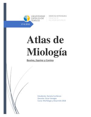 Atlas De Miologia