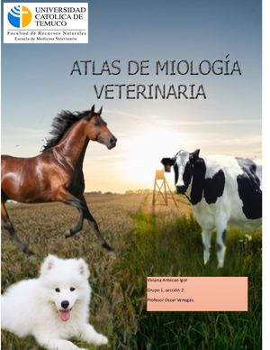 Atlas Miologia Viviana Antecao