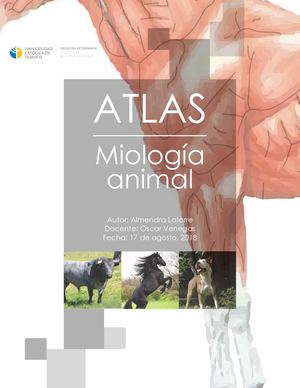 Atlas de miología veterinaria uct 2018