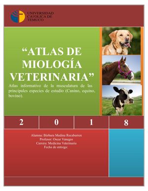 Atlas De Miología Veterinaria Lala