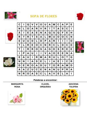Sopa De Letras Hilda (1)