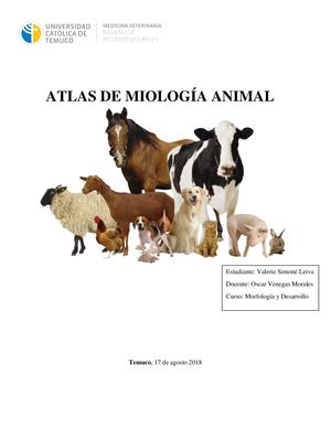 Atlas de miologia veterinaria 2018