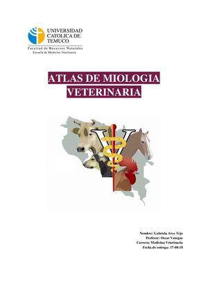 Atlas Miología Medicina Veterinaria