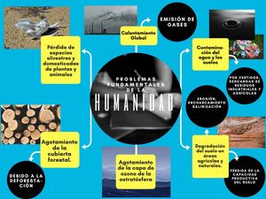 Problemas Humanidad