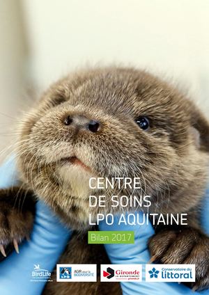 Bilan Centre de soins 2017