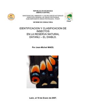 Clasificaion De Lso Insectos