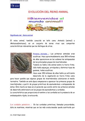 Evolución Del Reino Animal