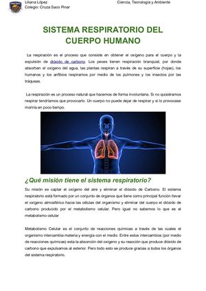 Sistema Respiratorio Del Cuerpo Humano
