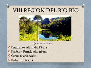 Viii Region Del Bio Bio