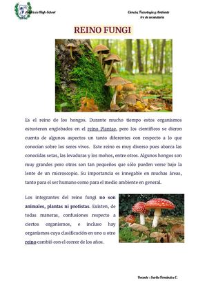 Reino Fungi (1)