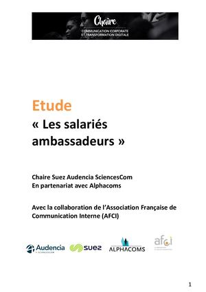 Rapport Les Salaires Ambassadeurs 2018