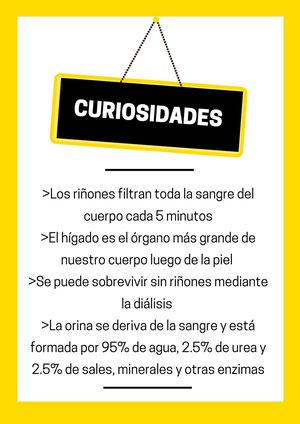 G Curiosidades 7