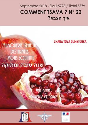 Aia Tsava Comment Tsava N22 Int Web