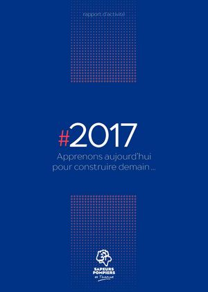 Rapport d'activité 2017