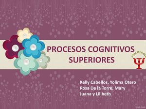 Exposicion Praxias Y Gnosias