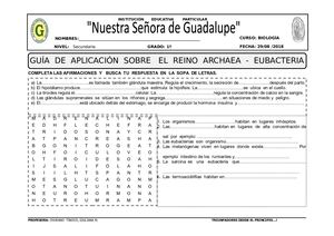 Guía De Aplicación Reino Eubacteria Archaea Endocrino