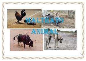 Maltrato Animal Dorely Dayana