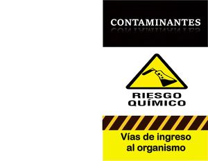 Vias De Ingreso Contaminantes Quimicos