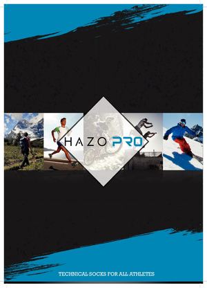 Hazo Pro