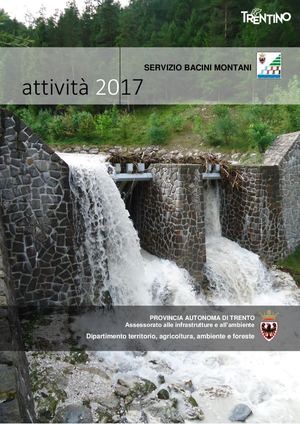 Attività 2017 - Servizio Bacini montani